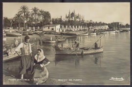 image 01