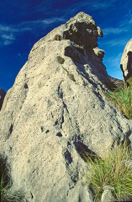 Serra de Tramuntana. Zona càrstica prop de Lluc. Escorca