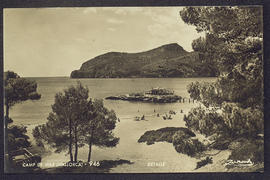 image 01