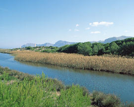 Torrent de na Borges