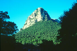 Serra de Tramuntana. Puig del Frontó al camí del Massanella