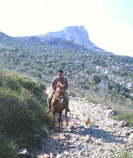 Home a cavall a un camí amb la serra de Llevant de fons