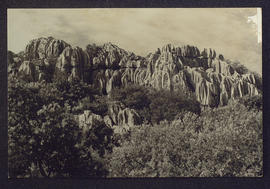 image 01