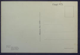 image 02