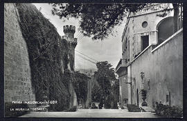 image 01