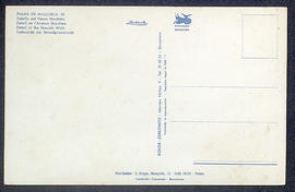 image 02
