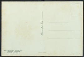 image 02