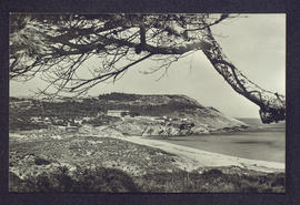 image 01
