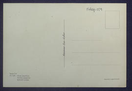 image 02