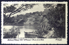 image 01