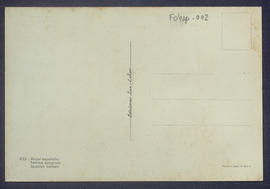 image 02