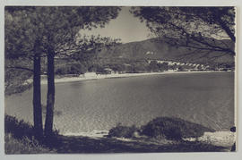 image 01