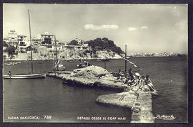 image 01