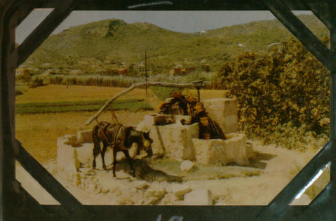 Original Objecte digital not accessible