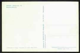 image 02