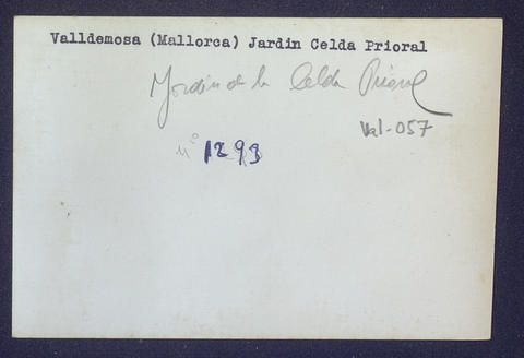 Original Objecte digital not accessible