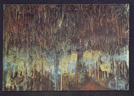 image 01