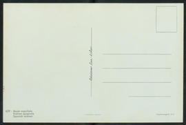 image 02