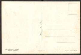 image 02