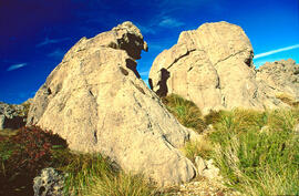Serra de Tramuntana. Zona càrstica prop de Lluc. Escorca