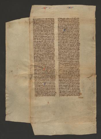 Open original Objecte digital