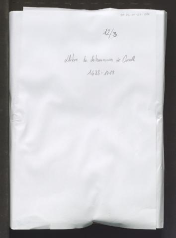 Open original Objecte digital